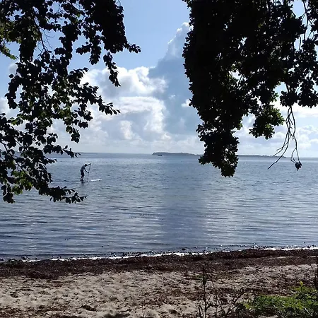 16 Person In Haderslev-by Traum *